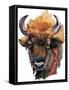 Bison. Forest Animal Watercolor Illustration-Faenkova Elena-Framed Stretched Canvas