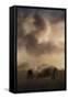 Bison Grazing at Sunrise-Jai Johnson-Framed Stretched Canvas