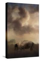 Bison Grazing at Sunrise-Jai Johnson-Stretched Canvas