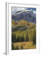 Bison Grazing In The Yellowstone Grand Landscape-Galloimages Online-Framed Photographic Print