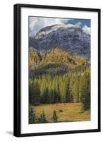 Bison Grazing In The Yellowstone Grand Landscape-Galloimages Online-Framed Photographic Print