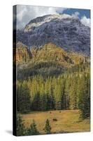 Bison Grazing In The Yellowstone Grand Landscape-Galloimages Online-Stretched Canvas