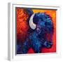 Bison Head II-Marion Rose-Framed Giclee Print