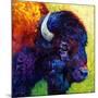 Bison Head III-Marion Rose-Mounted Giclee Print