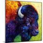 Bison Head III-Marion Rose-Mounted Giclee Print