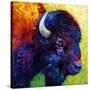 Bison Head III-Marion Rose-Stretched Canvas