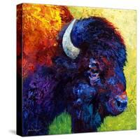 Bison Head III-Marion Rose-Stretched Canvas