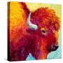 Bison Head IV-Marion Rose-Stretched Canvas