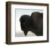 Bison Head-Albert Bierstadt-Framed Premium Giclee Print