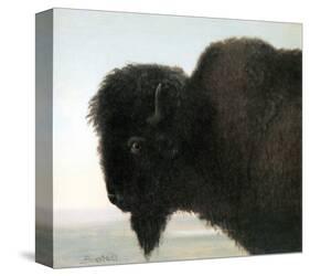 Bison Head-Albert Bierstadt-Stretched Canvas