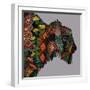 Bison Heather-Sharon Turner-Framed Art Print