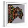 Bison Heather-Sharon Turner-Framed Art Print