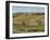 Bison Herd, Custer State Park, Black Hills, South Dakota, United States of America, North America-Pitamitz Sergio-Framed Photographic Print