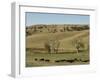 Bison Herd, Custer State Park, Black Hills, South Dakota, United States of America, North America-Pitamitz Sergio-Framed Photographic Print