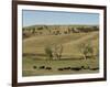 Bison Herd, Custer State Park, Black Hills, South Dakota, United States of America, North America-Pitamitz Sergio-Framed Photographic Print