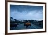 Bison Herd, Yellowstone National Park, Wyoming-Paul Souders-Framed Photographic Print