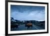 Bison Herd, Yellowstone National Park, Wyoming-Paul Souders-Framed Photographic Print