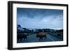 Bison Herd, Yellowstone National Park, Wyoming-Paul Souders-Framed Photographic Print