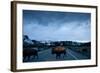 Bison Herd, Yellowstone National Park, Wyoming-Paul Souders-Framed Photographic Print