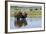 Bison Herd-Ken Archer-Framed Photographic Print