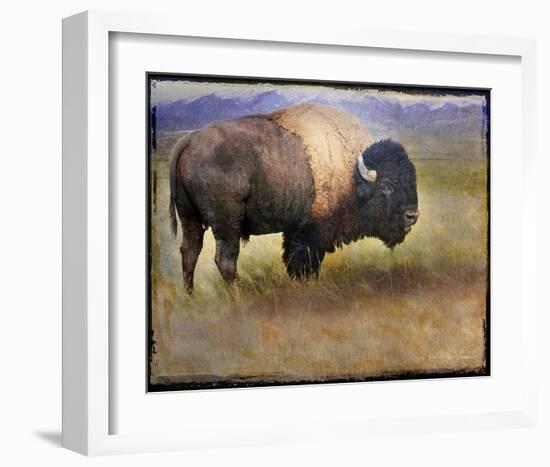 Bison I-Chris Vest-Framed Art Print