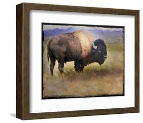 Bison I-Chris Vest-Framed Art Print