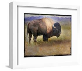 Bison I-Chris Vest-Framed Art Print