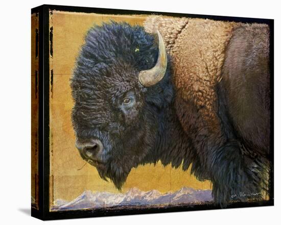 Bison II-Chris Vest-Stretched Canvas