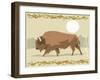 Bison in a Decorative Illustration-Artistan-Framed Art Print