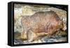 Bison in Font De Gaume, c.25,000 B.C.-Prehistoric-Framed Stretched Canvas