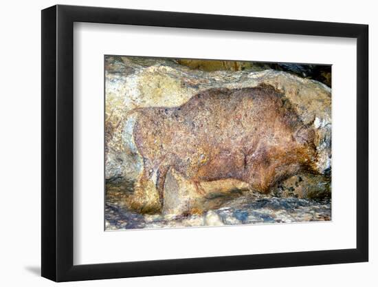 Bison in Font De Gaume, c.25,000 B.C.-Prehistoric-Framed Photographic Print