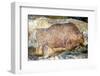 Bison in Font De Gaume, c.25,000 B.C.-Prehistoric-Framed Photographic Print