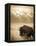 Bison in Grand Teton National Park Wyoming-Justin Bailie-Framed Stretched Canvas