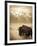 Bison in Grand Teton National Park Wyoming-Justin Bailie-Framed Photographic Print