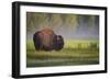 Bison in Morning Light-Sandipan Biswas-Framed Photographic Print