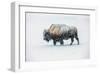 Bison in snow, Yellowstone National Park, Wyoming-Art Wolfe-Framed Giclee Print