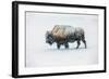 Bison in snow, Yellowstone National Park, Wyoming-Art Wolfe-Framed Giclee Print