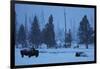Bison in Snow-W. Perry Conway-Framed Photographic Print