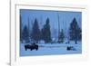 Bison in Snow-W. Perry Conway-Framed Photographic Print