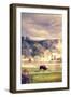 Bison in the Mist-Vincent James-Framed Premium Photographic Print