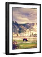 Bison in the Mist-Vincent James-Framed Premium Photographic Print