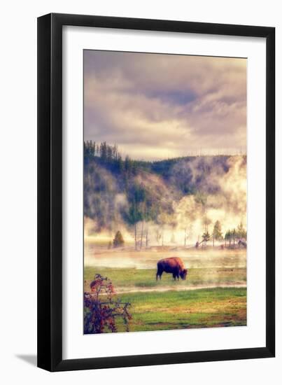 Bison in the Mist-Vincent James-Framed Photographic Print