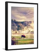 Bison in the Mist-Vincent James-Framed Photographic Print