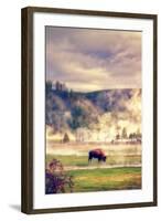 Bison in the Mist-Vincent James-Framed Photographic Print