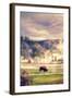 Bison in the Mist-Vincent James-Framed Photographic Print