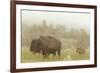 Bison in Theodore Roosevelt National Park, North Dakota, Usa-Chuck Haney-Framed Photographic Print