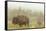 Bison in Theodore Roosevelt National Park, North Dakota, Usa-Chuck Haney-Framed Stretched Canvas