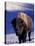 Bison in Yellowstone National Park, Wyoming, USA-Gavriel Jecan-Stretched Canvas