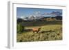 Bison in Yellowstone-Galloimages Online-Framed Photographic Print