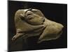 Bison Licking Its Back, Bone Figure from La Madeleine, Dordogne, France-null-Mounted Giclee Print
